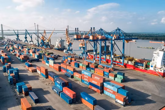 Từ cảng biển đến đô thị logistics quốc tế: Thâm Quyến, Singapore và diện mạo Hải Phòng