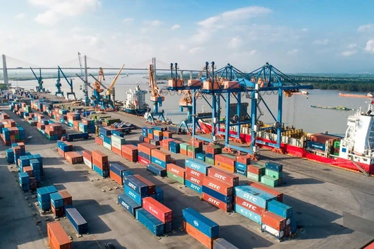 Từ cảng biển đến đô thị logistics quốc tế: Thâm Quyến, Singapore và diện mạo Hải Phòng