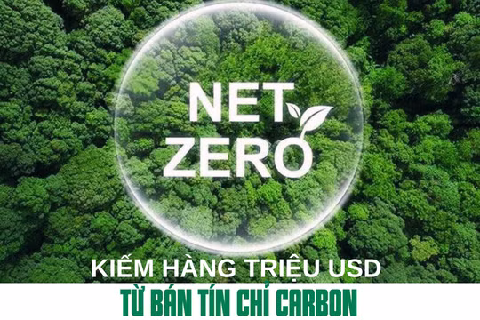 Kiếm hàng triệu USD từ bán tín chỉ carbon