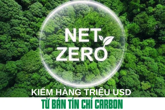 Kiếm hàng triệu USD từ bán tín chỉ carbon