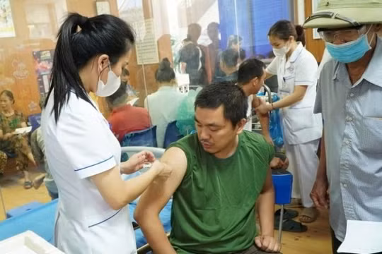 Làm gì để ngăn nguy cơ tử vong từ những mầm bệnh vùng lũ?