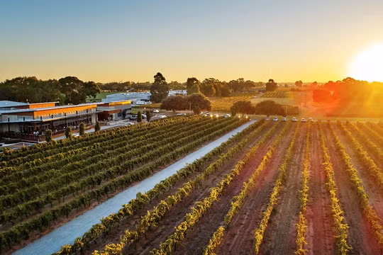 Thưởng thức rượu vang hảo hạng tại thung lũng Swan, Tây Australia