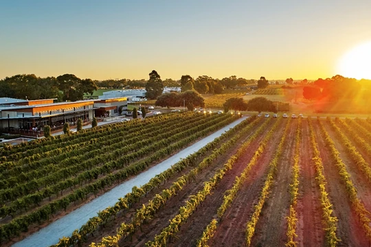 Thưởng thức rượu vang hảo hạng tại thung lũng Swan, Tây Australia