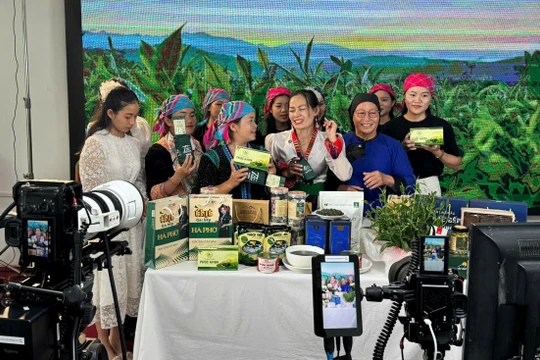 “Tự hào hàng Việt tỉnh Lai Châu”: Mô hình xúc tiến thương mại số kết nối công – tư – cộng đồng