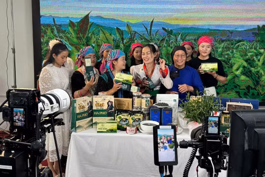 “Tự hào hàng Việt tỉnh Lai Châu”: Mô hình xúc tiến thương mại số kết nối công – tư – cộng đồng