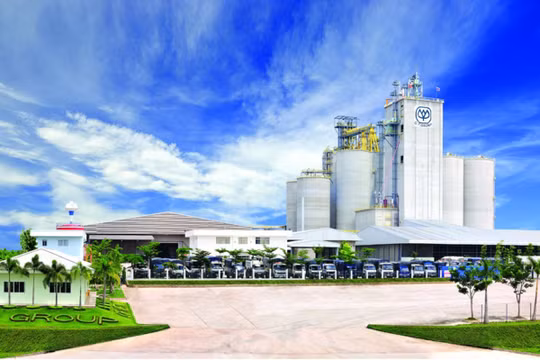 Vì sao bê bối lợn bệnh khiến khách hàng quay lưng với C.P.?