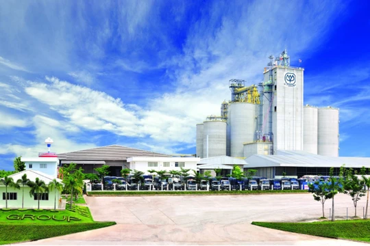 Vì sao bê bối lợn bệnh khiến khách hàng quay lưng với C.P.?