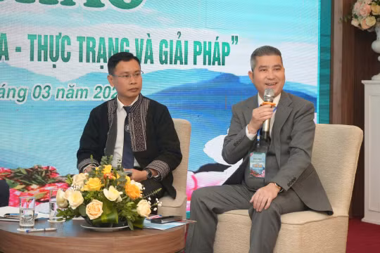 Làm gì để kinh tế đêm trở thành động lực mới ở Sa Pa?