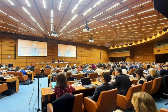 Buổi tham vấn thông tin tới các phái đoàn các nước thành viên về Công ước về chống tội phạm mạng và công tác triển khai thực thi Công ước. Ảnh: Liên hợp quốc