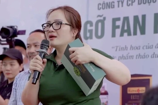 Những vi phạm của Hoàng Hường trước khi bị khởi tố 