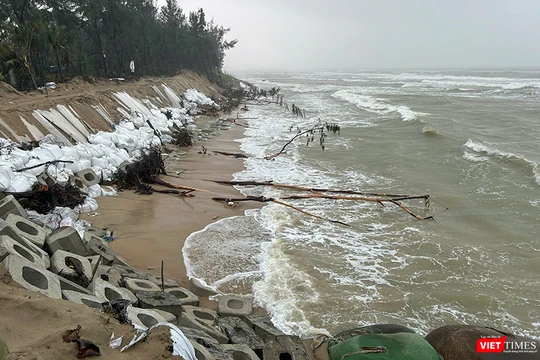 Khu vực bờ biển phường Hội An Tây bị sạt lở nghiêm trọng sau đợt mưa lũ cuối tháng 10, đầu tháng 11/2025.