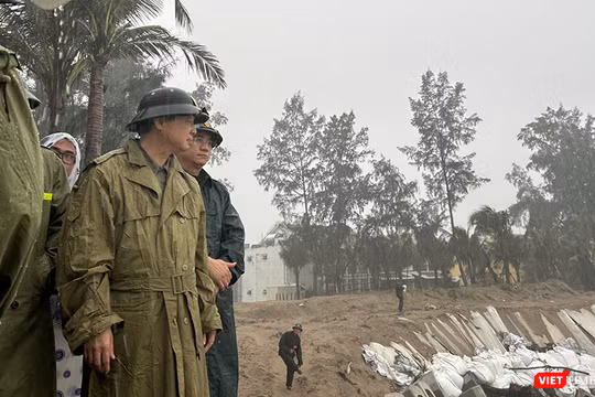 Ngày 29/10, Phó Thủ tướng Chính phủ Trần Hồng Hà đã đi thị sát tình trạng sạt lở tại bãi biển Của Đại, TP Đà Nẵng.