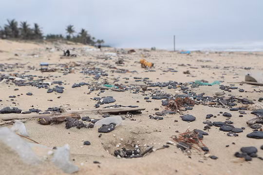 Dầu vón cục tấn công bờ biển vịnh Lăng Cô (Huế). Ảnh: Nguyễn Lê