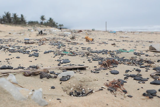 Dầu vón cục tấn công bờ biển vịnh Lăng Cô (Huế). Ảnh: Nguyễn Lê