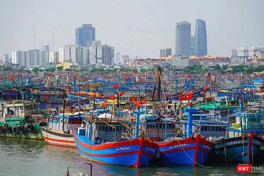 Tàu thuyền của ngư dân vào neo đậu tại âu thuyền Thọ Quang, thành phố Đà Nẵng để tránh bão.