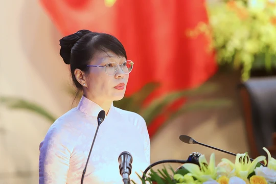 Bà Trần Thị Thanh Tâm - Giám đốc Sở KH&ĐT TP Đà Nẵng