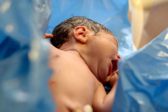 Cậu bé Putin từ vùng Vladimir có thêm người em trai mới sinh là Shoigu