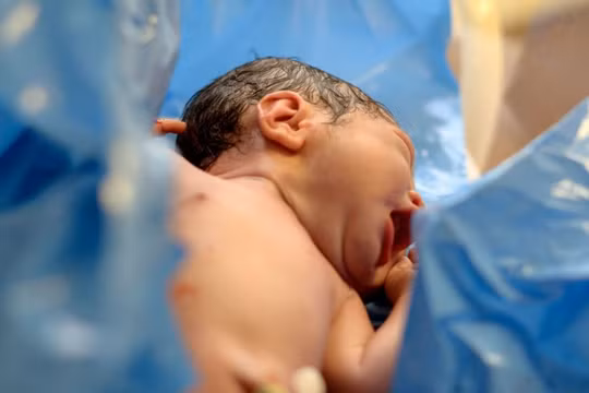 Cậu bé Putin từ vùng Vladimir có thêm người em trai mới sinh là Shoigu