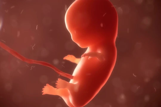 Sản phụ Trung Quốc sinh con từ phôi thai được đông lạnh từ 16 năm trước (ảnh minh họa).