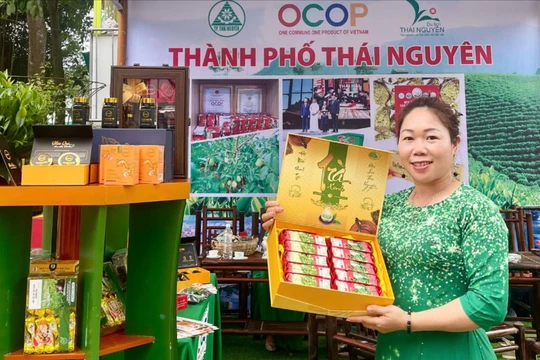 Sản phẩm chè của chị Hương lấy nguyên liệu từ địa phương, qua chế biến đóng gói thành khoảng 40 sản phẩm khác nhau.