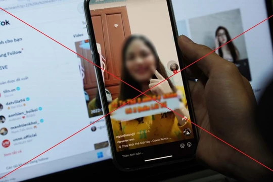 Facebook, Google và TikTok chặn, gỡ gần 16.000 nội dung vi phạm