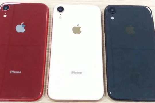 iPhone XC sẽ có 1 camera phía sau, khung nhôm, màn hình LCD