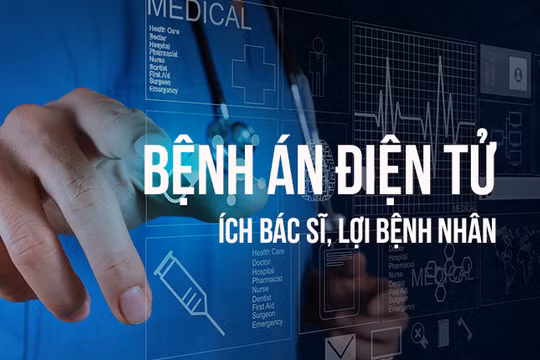 (ảnh minh họa: Ecomedic)