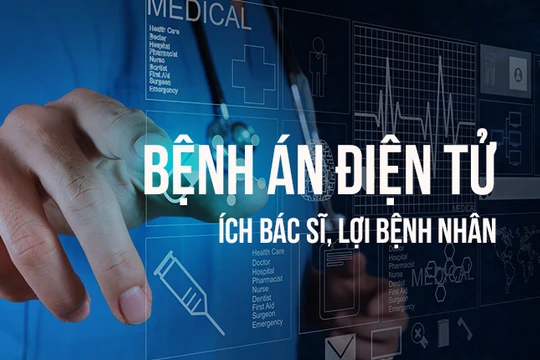 (ảnh minh họa: Ecomedic)