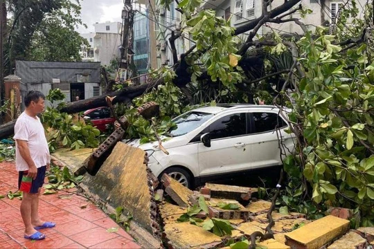 14 người chết, 176 người bị thương do bão Yagi