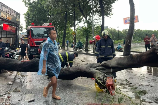 Siêu bão Yagi đang giật cấp 17, mưa dông cực mạnh ập tới Hà Nội kéo đổ cây làm 1 người chết