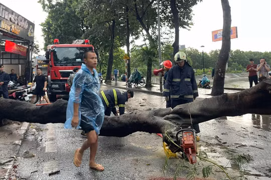 Siêu bão Yagi đang giật cấp 17, mưa dông cực mạnh ập tới Hà Nội kéo đổ cây làm 1 người chết