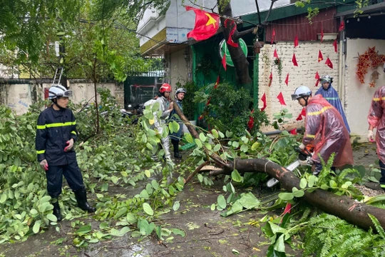 Bão Yagi quét qua Hà Nội làm một người chết, 2.800 cây bị đổ