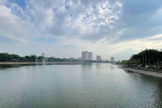 Xôn xao clip cá nhảy tanh tách trên mặt hồ Linh Đàm, chuyên gia nói gì?