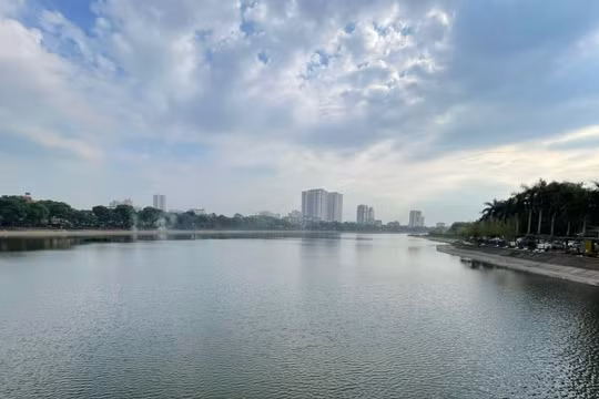 Xôn xao clip cá nhảy tanh tách trên mặt hồ Linh Đàm, chuyên gia nói gì?