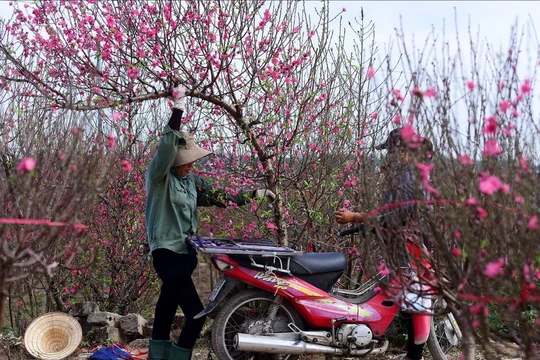 Bộ Nội vụ thống nhất đề xuất nghỉ Tết Ất Tỵ 9 ngày, dịp 30/4 nghỉ 5 ngày