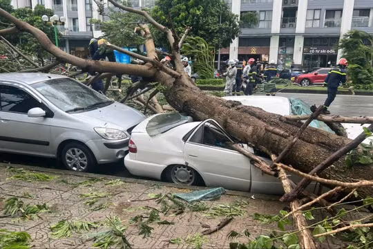 Hậu bão số 3: Hà Nội hỗ trợ 9 địa phương 51 tỷ đồng, chỉ đạo phương án xử lý cây xanh gãy đổ