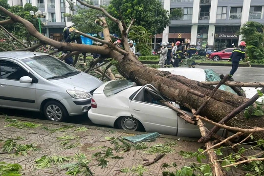 Hậu bão số 3: Hà Nội hỗ trợ 9 địa phương 51 tỷ đồng, chỉ đạo phương án xử lý cây xanh gãy đổ