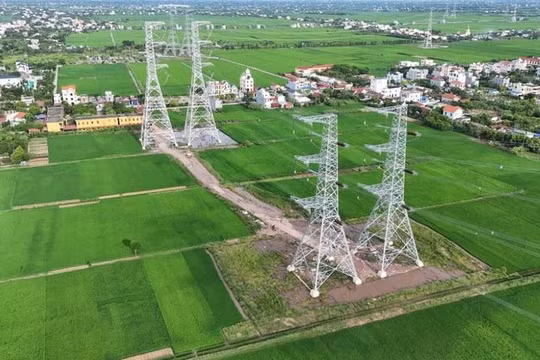 "Đường 500 kV mạch 3 có ý nghĩa đặc biệt quan trọng"