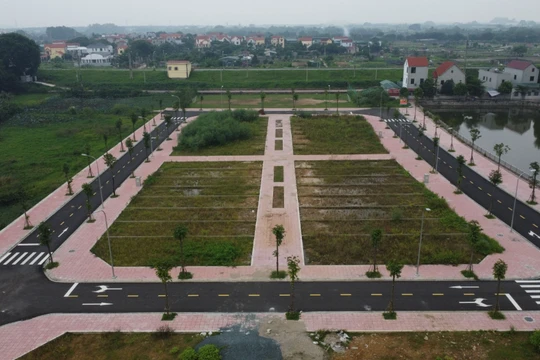 Sau chỉ đạo khẩn của Thủ tướng, huyện Hoài Đức tạm dừng đấu giá đất