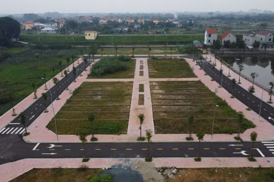 Sau chỉ đạo khẩn của Thủ tướng, huyện Hoài Đức tạm dừng đấu giá đất