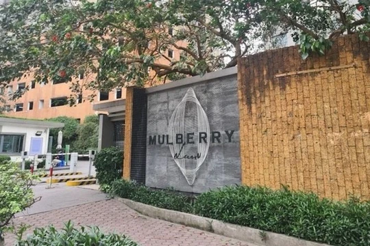 Nữ thư ký rút “khống” 100 triệu đồng quỹ quản lý vận hành chung cư Mulberry Lane