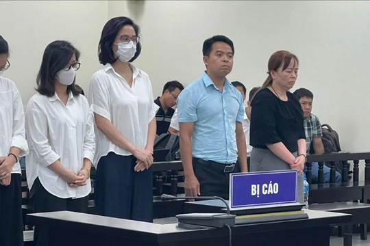 Vụ án mua đất đấu giá rẻ hơn 135 tỷ đồng: Cựu Chủ tịch Vimedimex lĩnh án