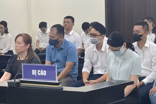 Vụ mua đất đấu giá rẻ hơn 135 tỷ đồng: Nữ Chủ tịch đề nghị xem xét lại biên bản hỏi cung