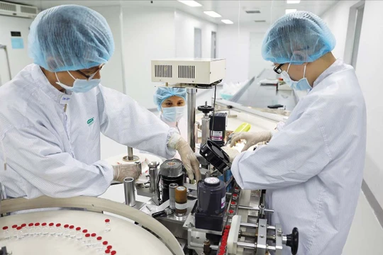 Việt Nam thuộc nhóm quốc gia có mức tăng trưởng ngành dược lớn nhất thế giới.