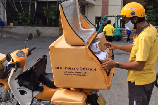 Các yếu tố ảnh hưởng đến quyết định lựa chọn đơn vị vận chuyển là giá cả, chất lượng giao nhận, thời gian giao hàng, thái độ shipper và chăm sóc khách hàng.