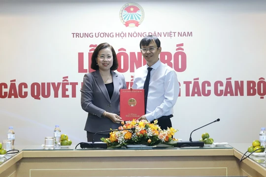 Bà Bùi Thị Thơm, Phó Chủ tịch TƯ Hội Nông dân Việt Nam trao quyết định bổ nhiệm Tổng biên tập Báo Nông thôn Ngày nay cho nhà báo Nguyễn Văn Hoài.