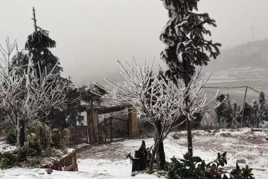 Tuyết trắng xoá ở Lào Cai