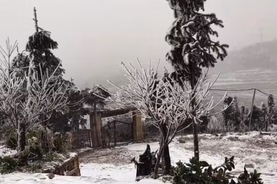 Tuyết trắng xoá ở Lào Cai