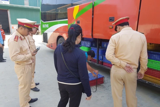 Xe khách là phương tiện phổ biến để vận chuyển lén lút động vật hoang dã (ảnh: ENV)