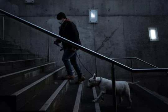 Chó có thể nhiễm Covid-19 nhưng chỉ là số lượng rất nhỏ (ảnh: Getty Images)